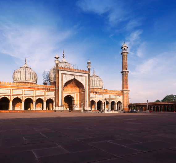 Golden Durado - Disha Destinos_page5_image