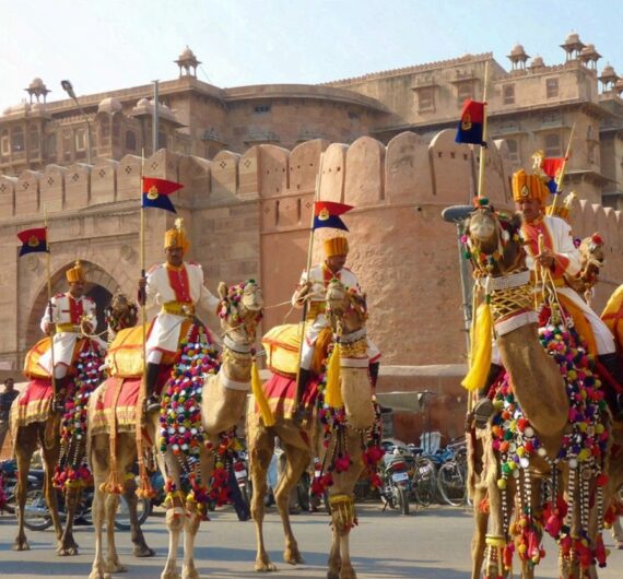 bikaner01